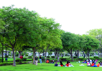 حدائق دبي العامة
